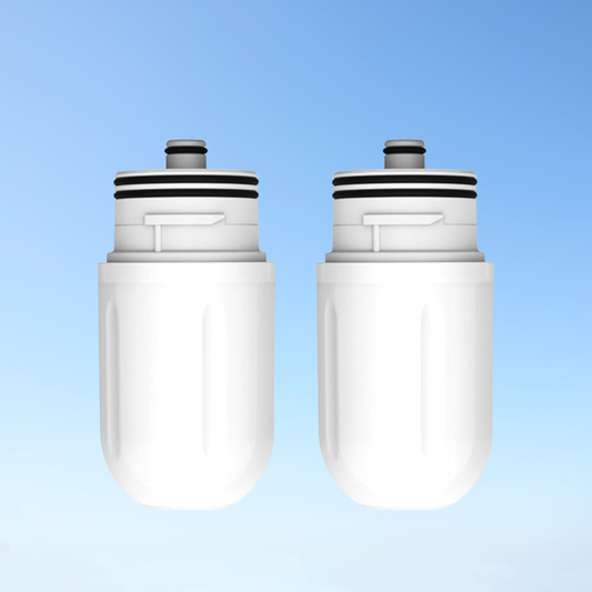 Bidet Water Filter